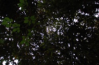 HDR.jpg