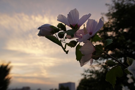 HDR.jpg